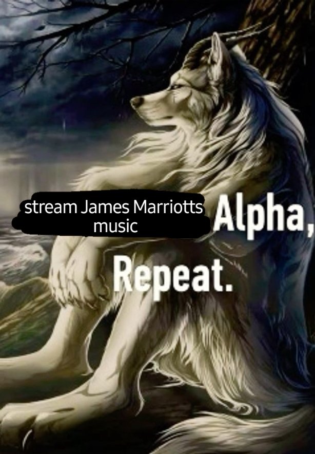 paristhecoolest's tweet photo. Only alphas listen to james marriott!! https://t.co/YsJmPKOFCG