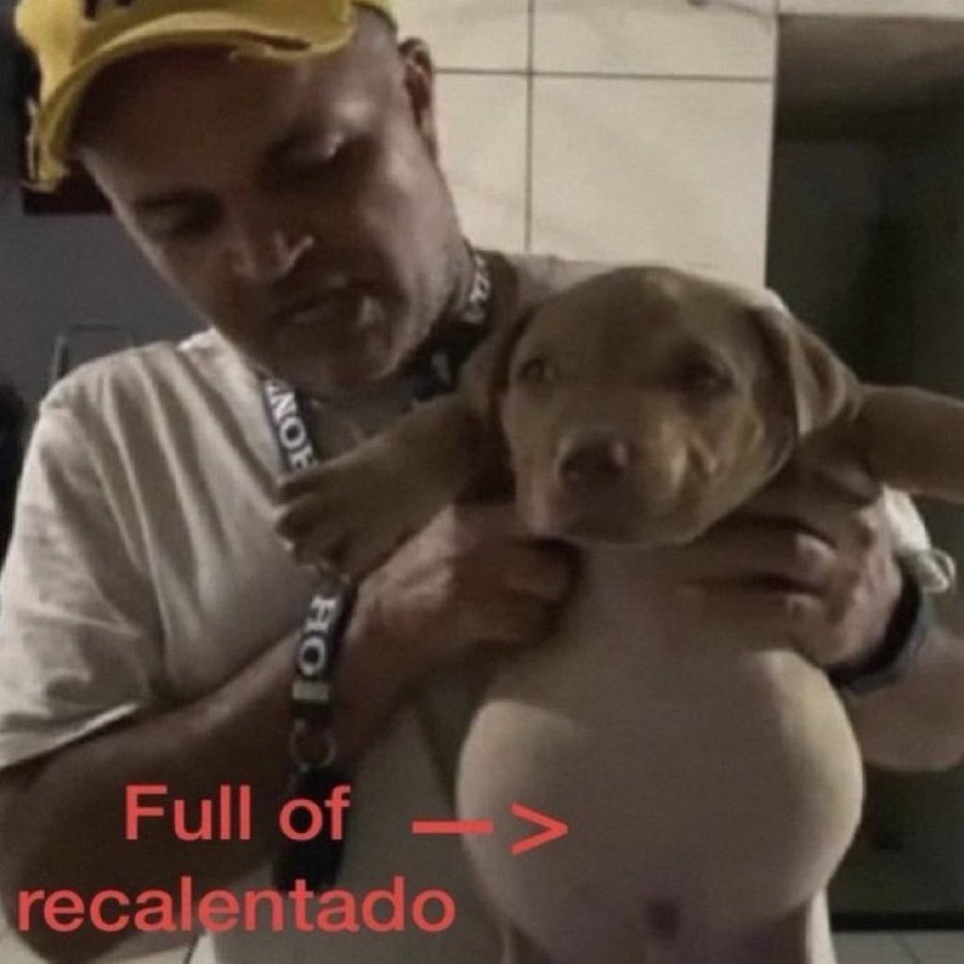 piña sin pizza tweet media