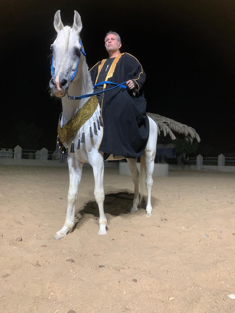 القادم نصر المظلومين إنها لله
