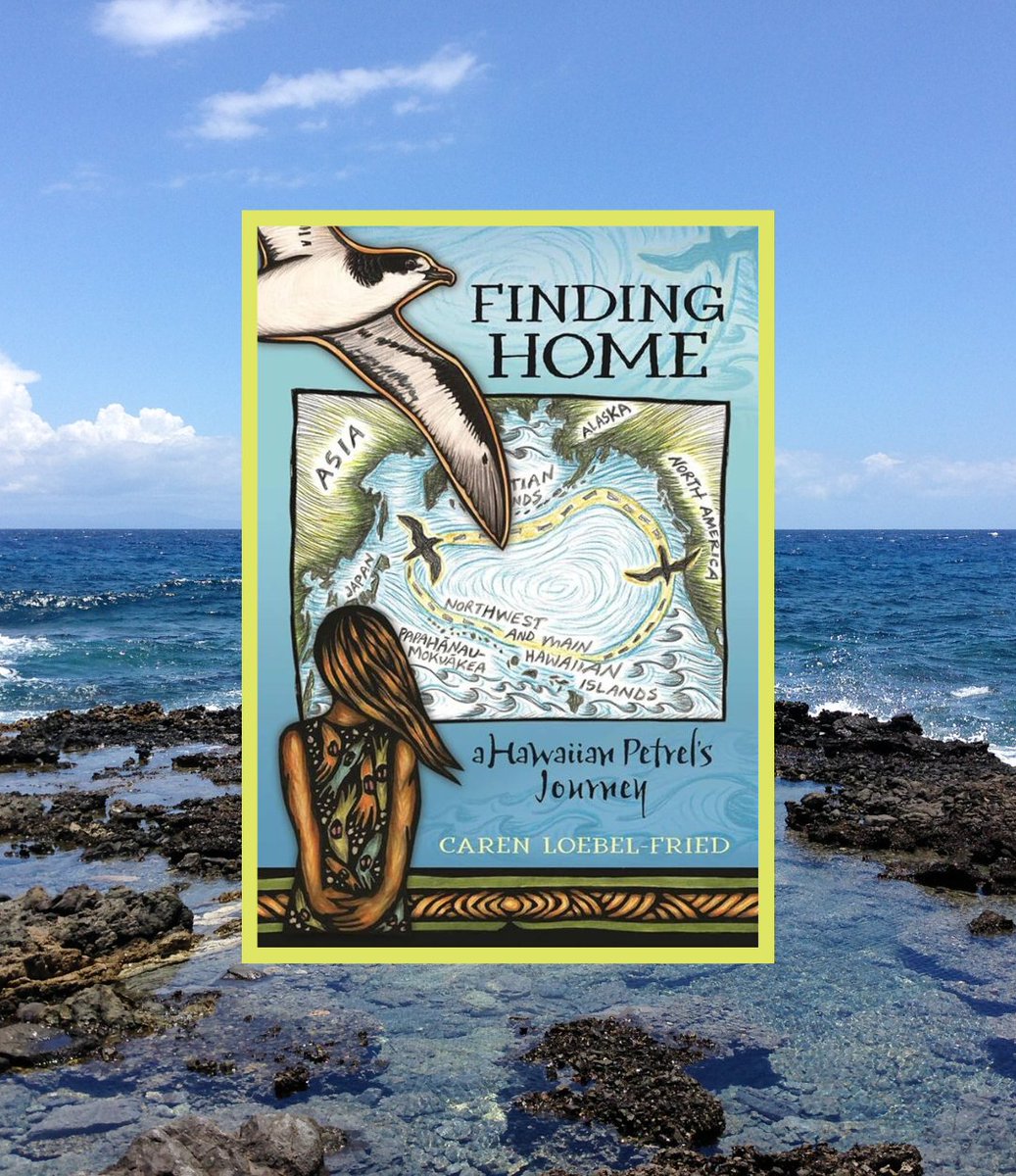 'Finding Home: A Hawaiian Petrel’s Journey' explores conservation, empathy, and interconnectedness through breathtaking art and storytelling.

A tale of hope, it celebrates how humans can make a difference for our planet's wildlife.

Read more:
islandconservation.org/finding-hope-a…