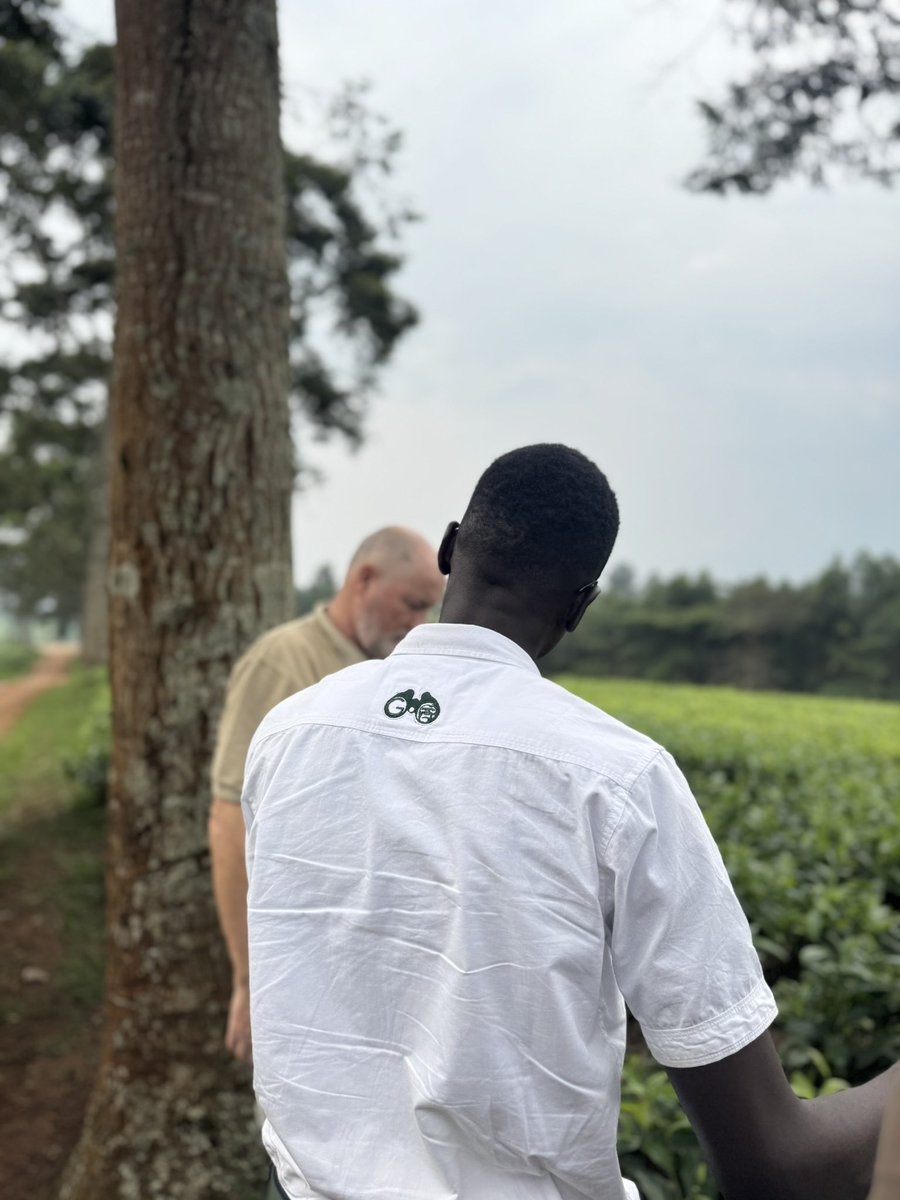 GoExplore Safaris - DMC tweet media