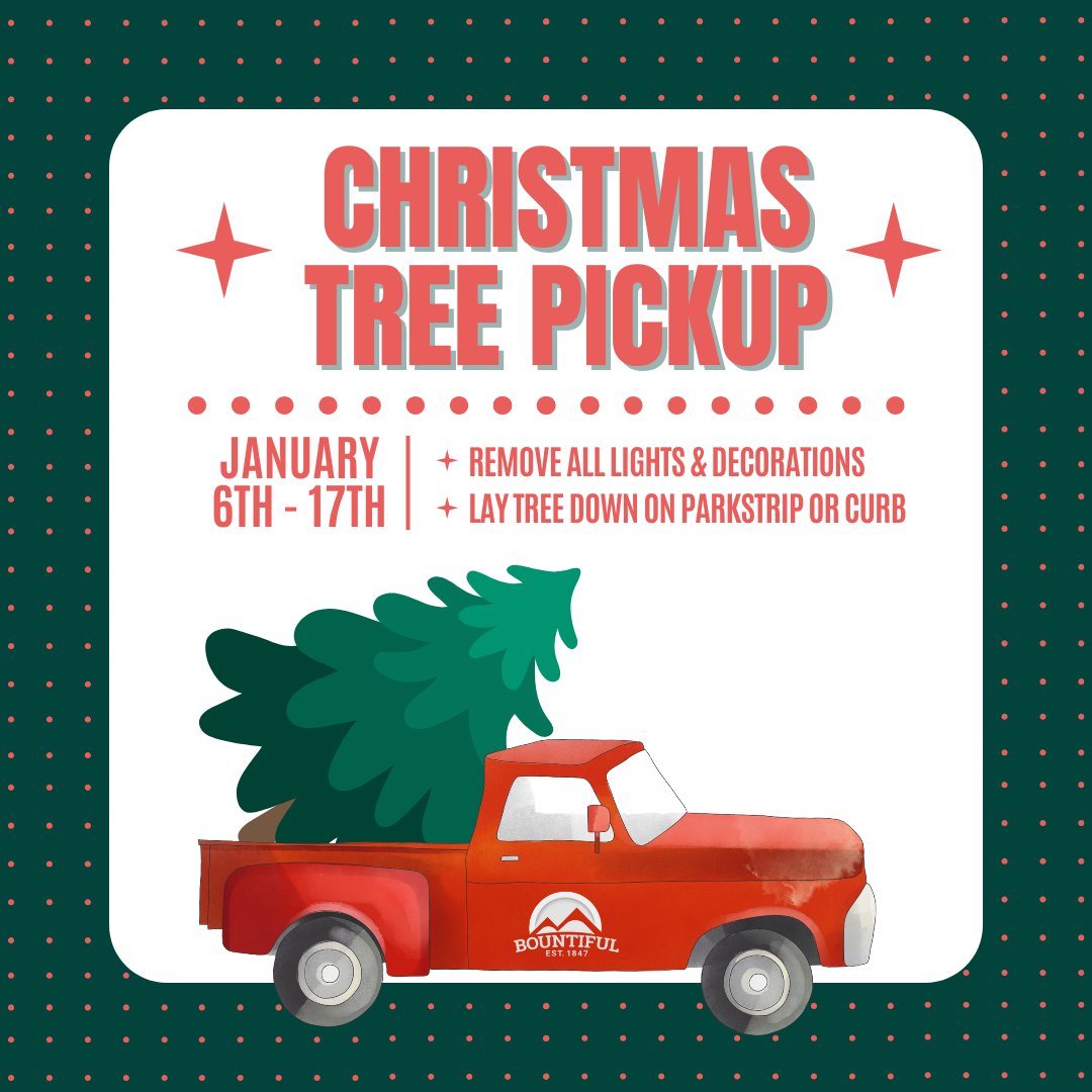 BountifulCityUT's tweet image. 🎄 Christmas Tree Pickup in Bountiful!
🗓 Jan 6th-17th
✅ Remove lights &amp;amp; decorations
🌲 Lay tree down on park strip or curb
🚜 Pickup by street crews (weather permitting)
📞 Questions? Call 801-298-6175
#BountifulCity #ChristmasTreePickup #GreenWaste