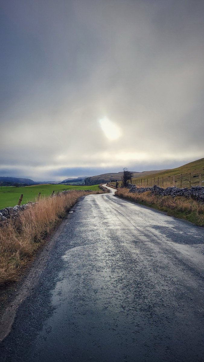 Zoë Westerman 🏴󠁧󠁢󠁷󠁬󠁳󠁿 tweet media