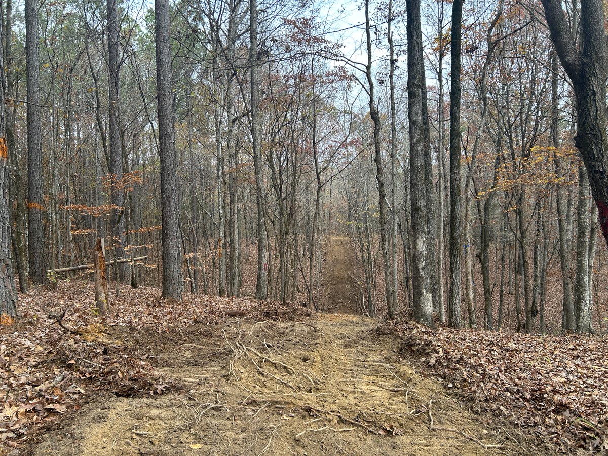 MSForestryComm's tweet photo. MFC's Area 12 team helped a landowner create fire lanes!

👷‍♂️Faster response for firefighters
🔥 Improved fire containment
🚫 Natural fire breaks

#FireLanes #PrivateLandownerServices #MSforestry #greenjobs #WildfireSafety https://t.co/ljeLrCq9Gz