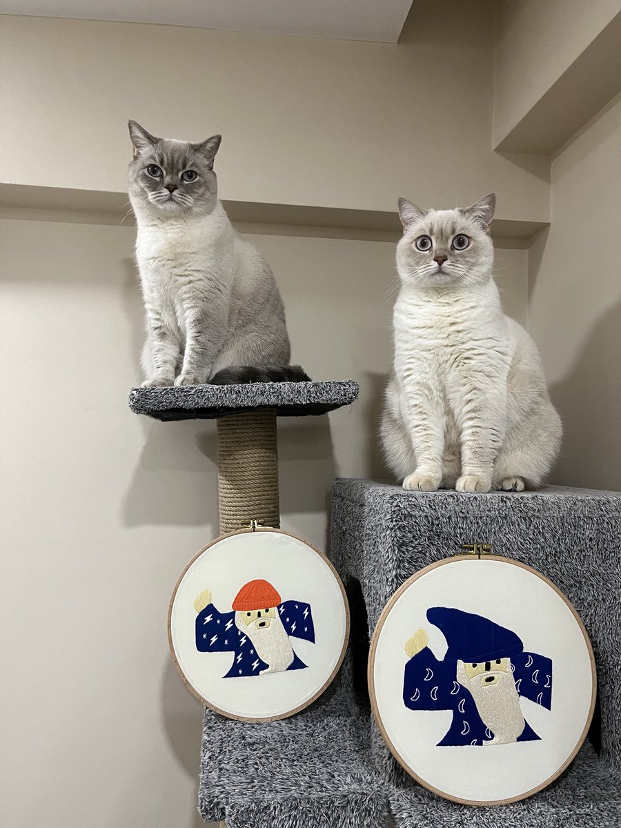 dilekop🧙♂️ tweet media