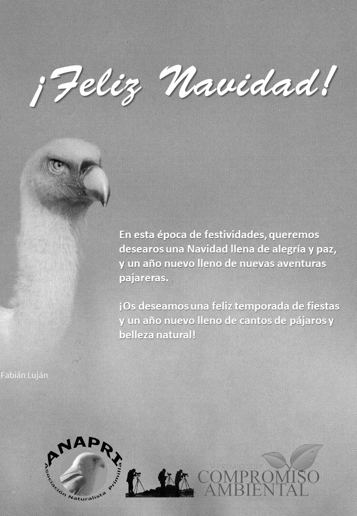 ¡Felicitación pajarera! y prospero año 2025.