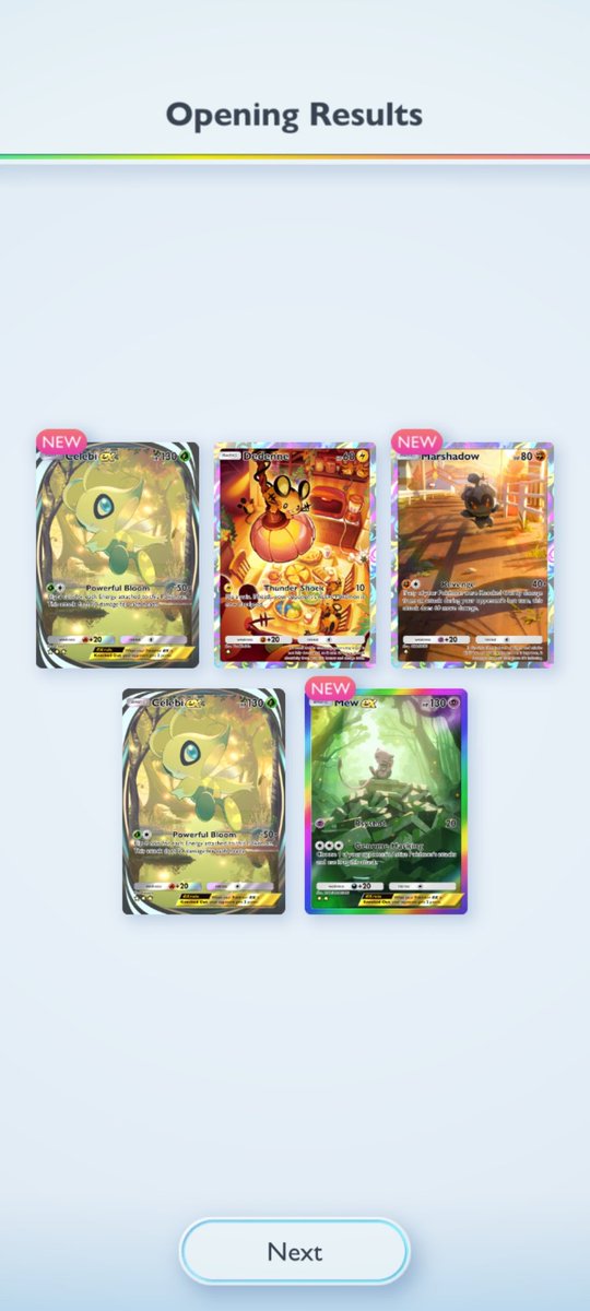 ‼️‼️‼️‼️‼️‼️‼️‼️‼️‼️