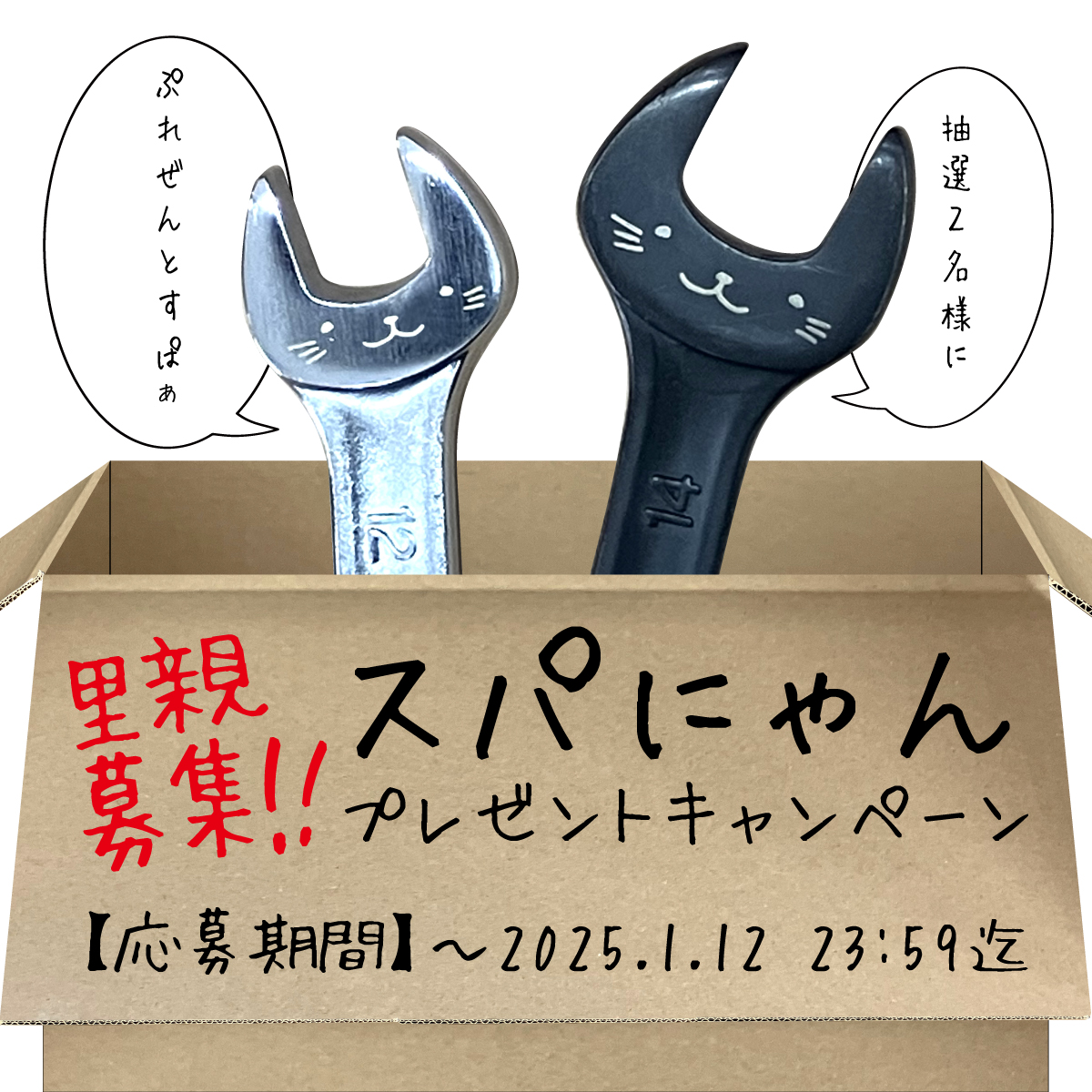 断捨離中▽プロフ必読△¨̮♡ 専用 PROBASTO 宅配ボックス ポスト一体型 複数投函 戸建て 100L 大