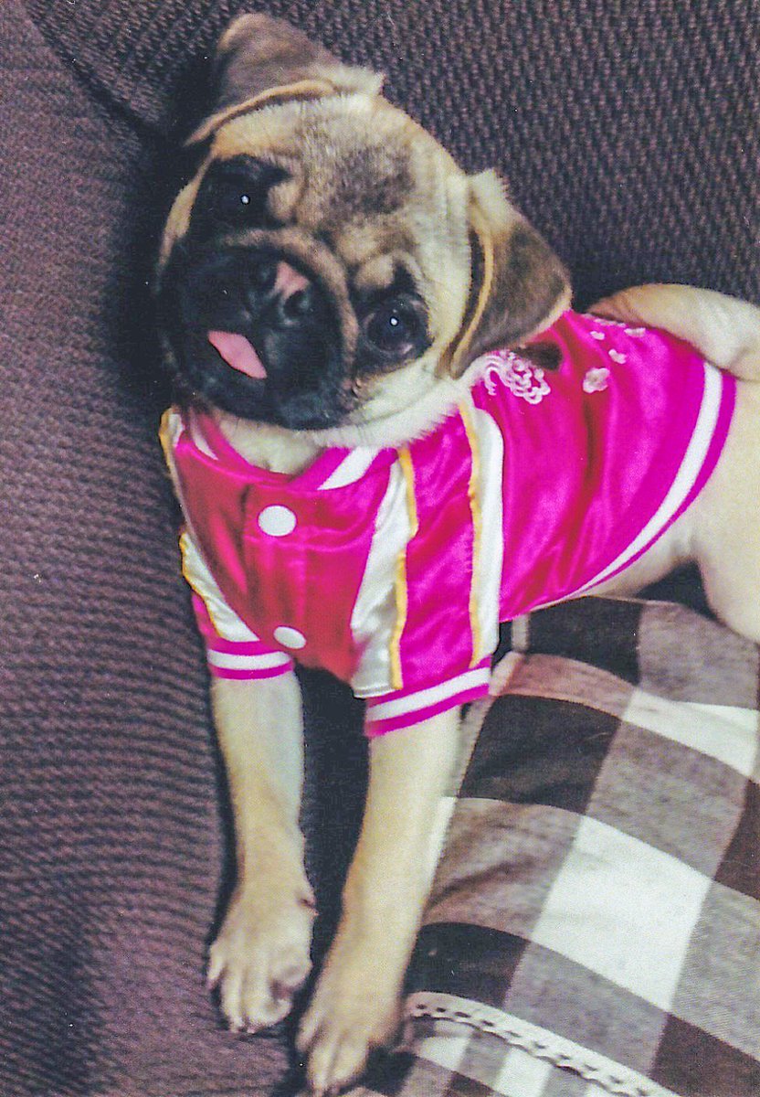 若かりしあんずちゃんの写真発掘
ピンクのスカジャンがキュートだねぇ