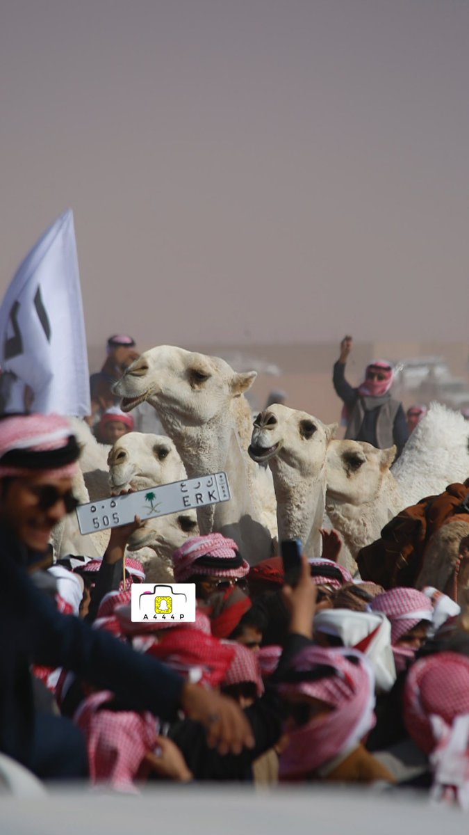 احمد القحطاني ءღ 📸🧡 tweet media