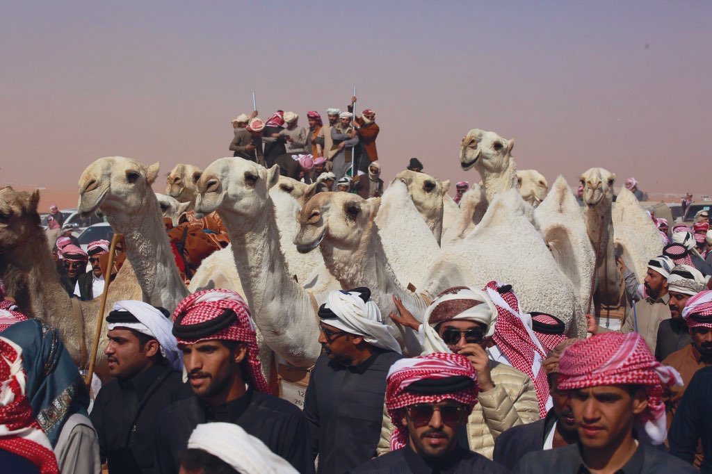 احمد القحطاني ءღ 📸🧡 tweet media