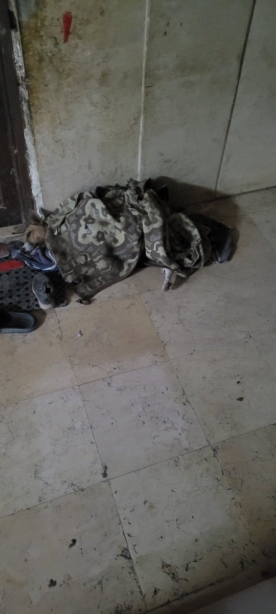 أحمد tweet media