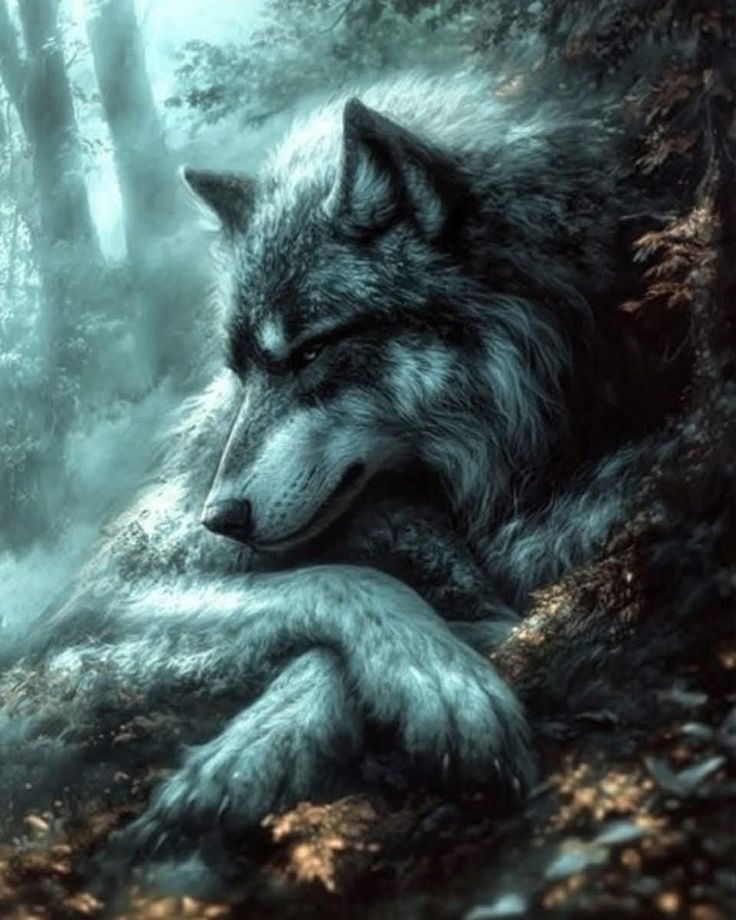 lauri366's tweet image. El lobo vigilante 
Una lobo gris tumbado en la tierra marrón mientras vigilaba si alguien lo atacaba.. el lobo vigilante no paraba de vigilar todo el lugar.. el lobo vigilante no se fiaba de los animales por eso vigilaba siempre
