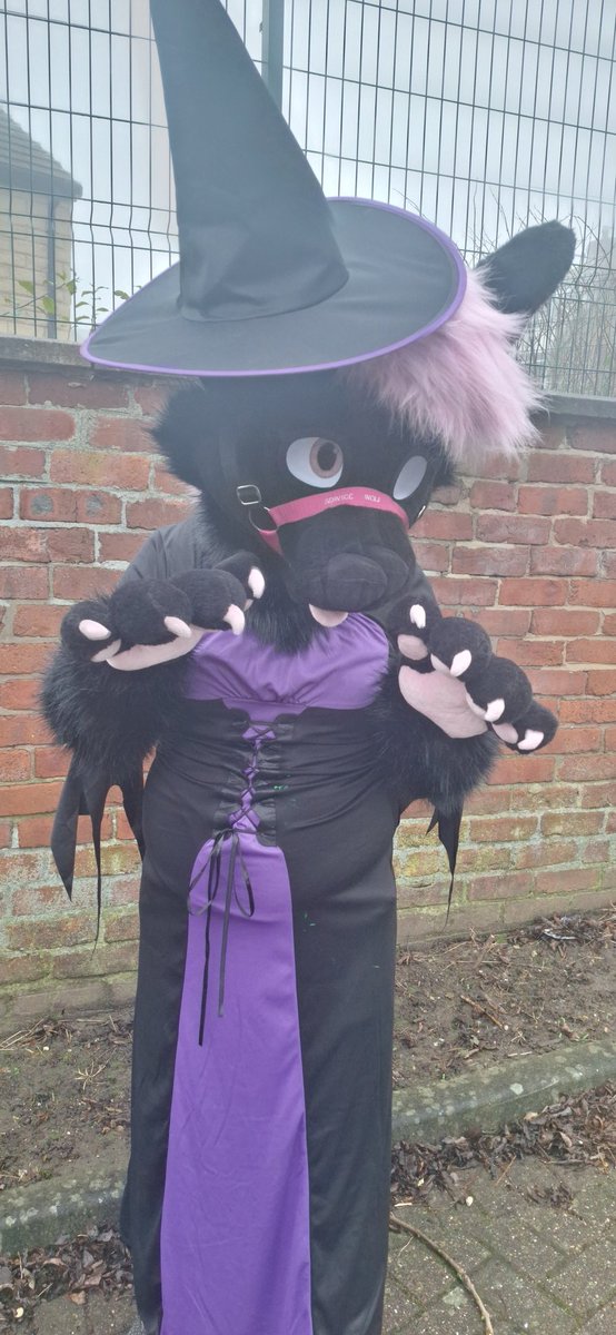 Well its last fursuit friday of the year i wish everyone a happy new year. If you went to furc this year you will recognise my outfit from my time on stage #FursuitFriday