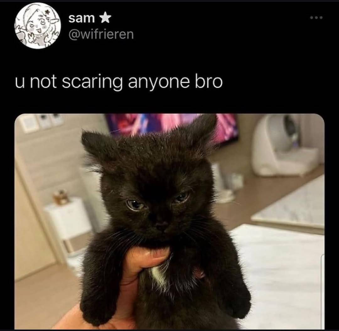 erin 🍓 top .005% of ariana grande listeners (@richiehaders) on Twitter photo 