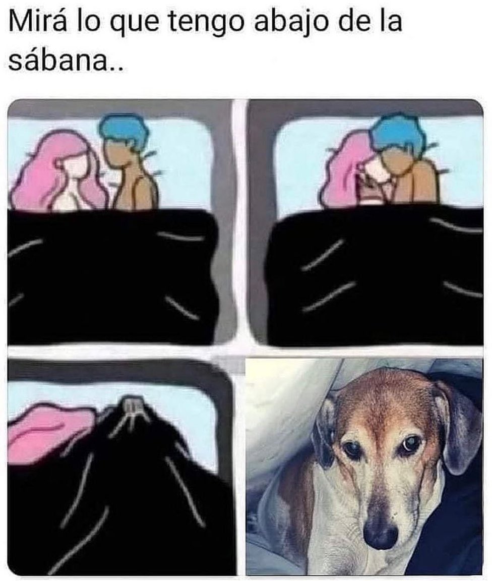 Capture Bizarre® (@capturebizarre) on Twitter photo 