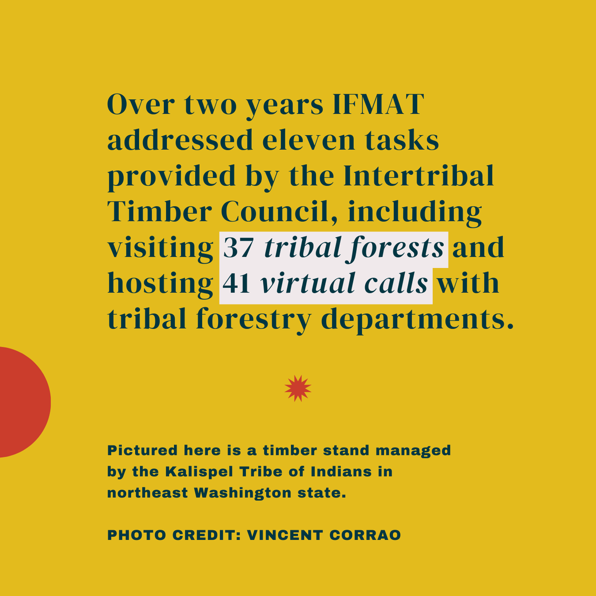 Intertribal_TC's tweet image. 🌲Exploring Tribal Forests: Kalispel Tribe of Indians✨ The Indian Forest Management Assessment Team toured 37 tribal forests, including meeting with the Kalispel Tribe of Indians in September 2021. Read the full IFMAT IV report: online.flippingbook.com/view/719646412…
 #IFMATIV #IndianCountry