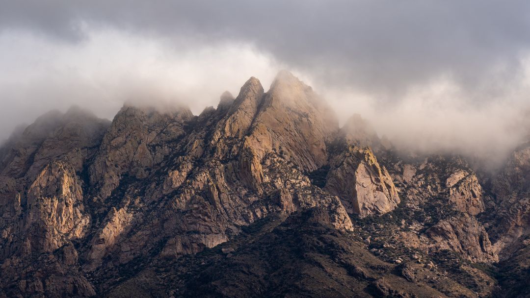 New Mexico State tweet media