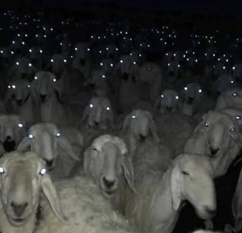 How it must feel to record a video in public