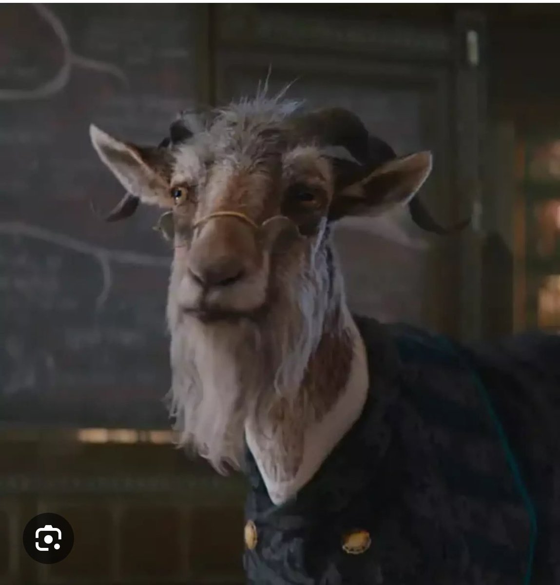 If you watched Wicked and felt terrible for the animals being caged and losing their voice, you may want to consider going vegan!