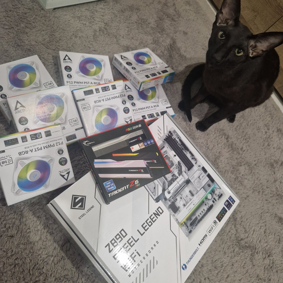 Sheava_'s tweet image. Я даже минут на 5 задумался что AMD так-то нормальные процы. Но ну их нахер)))
Кот тоже за интел.