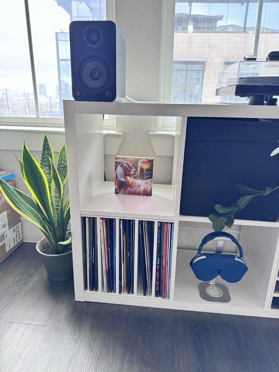 top reply gets to pick my digital frame image for a week