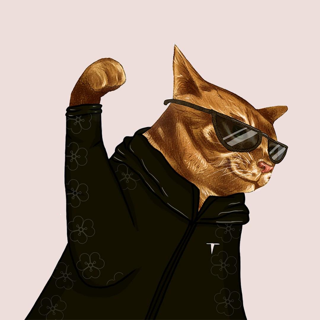 AfterFusionsol's tweet photo. @TeTheGamer wen $TAPCAT? https://t.co/i5BkZRCgUG