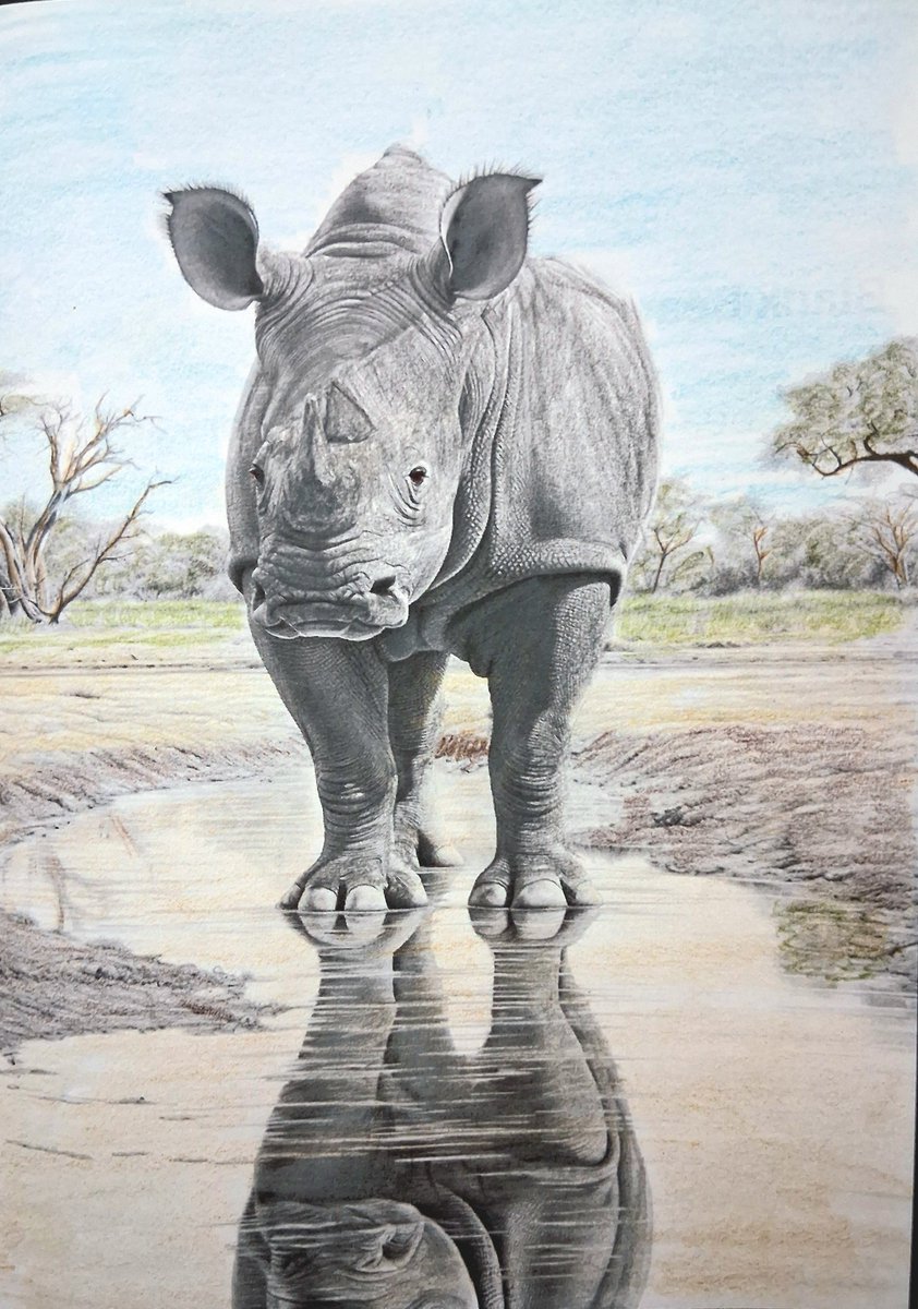 Russ Young tweet media