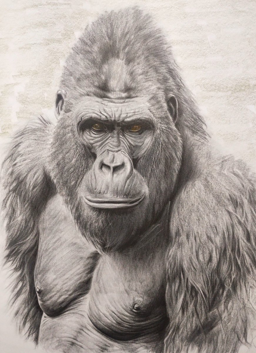 Russ Young tweet media