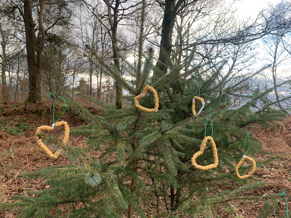 Daveen Wallis (@daveenwallis) on Twitter photo 