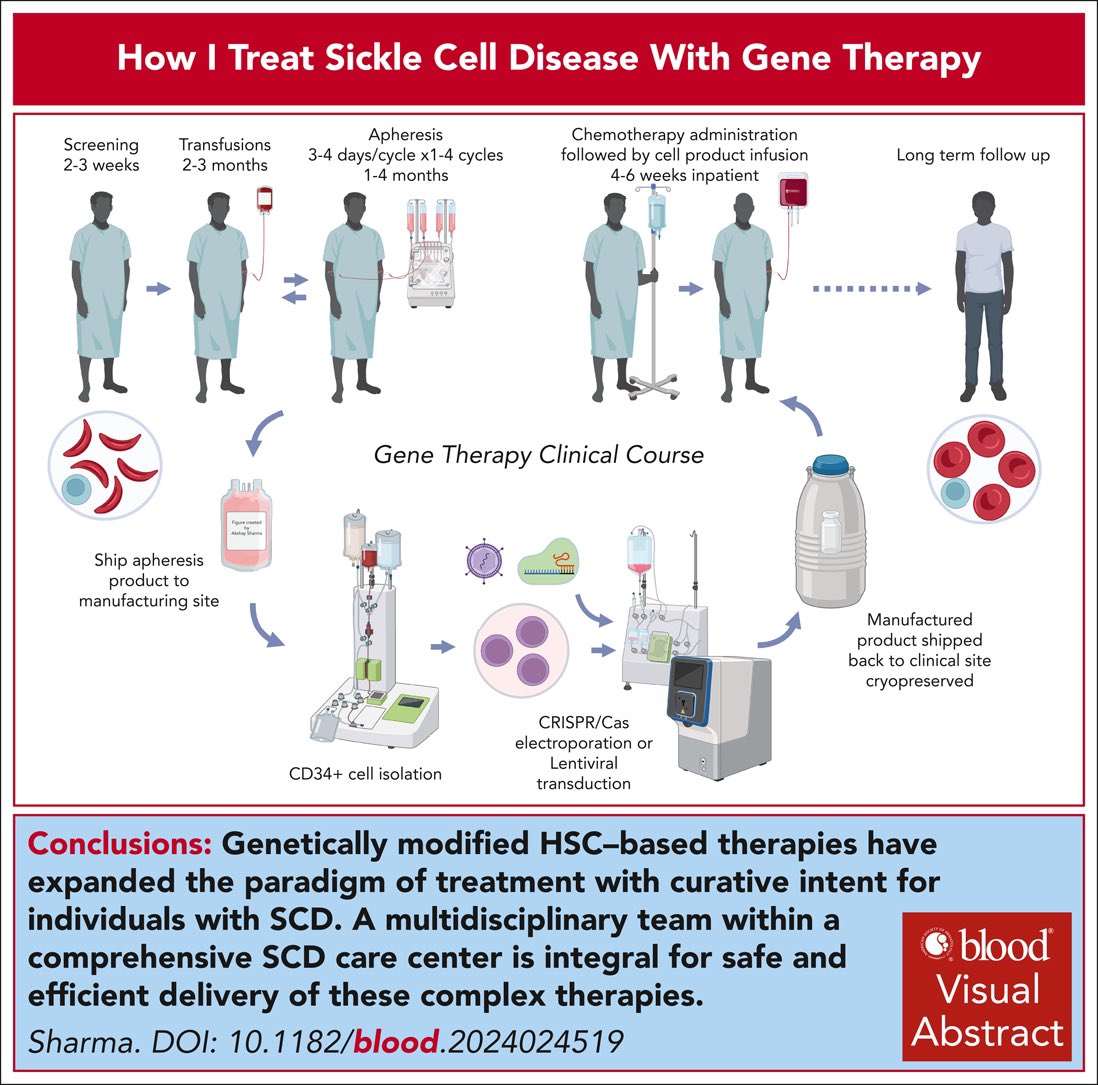 Akshay Sharma MD (@akshaysharmamd) on Twitter photo 🚨PublicationAlert🚨 How I Treat Sickle Cell Disease with Gene Therapy, published online (authors.elsevier.com/a/1kKhU1UYwnGSK ) and in print in <a href="/BloodJournal/">Blood Journal</a>
Many thanks to <a href="/DrAlexisThompsn/">Alexis Thompson</a> <a href="/jkw4444/">Julie Kanter</a> <a href="/LakshmananKris7/">Lakshmanan Krishnamurti</a> <a href="/shal34982692/">Shalini Shenoy MD</a> <a href="/BMTriplettMD/">Brandon Triplett</a> and <a href="/allistair_2001/">A Abraham</a> for their inputs 🙏 🚨PublicationAlert🚨 How I Treat Sickle Cell Disease with Gene Therapy, published online (authors.elsevier.com/a/1kKhU1UYwnGSK ) and in print in <a href="/BloodJournal/">Blood Journal</a>
Many thanks to <a href="/DrAlexisThompsn/">Alexis Thompson</a> <a href="/jkw4444/">Julie Kanter</a> <a href="/LakshmananKris7/">Lakshmanan Krishnamurti</a> <a href="/shal34982692/">Shalini Shenoy MD</a> <a href="/BMTriplettMD/">Brandon Triplett</a> and <a href="/allistair_2001/">A Abraham</a> for their inputs 🙏