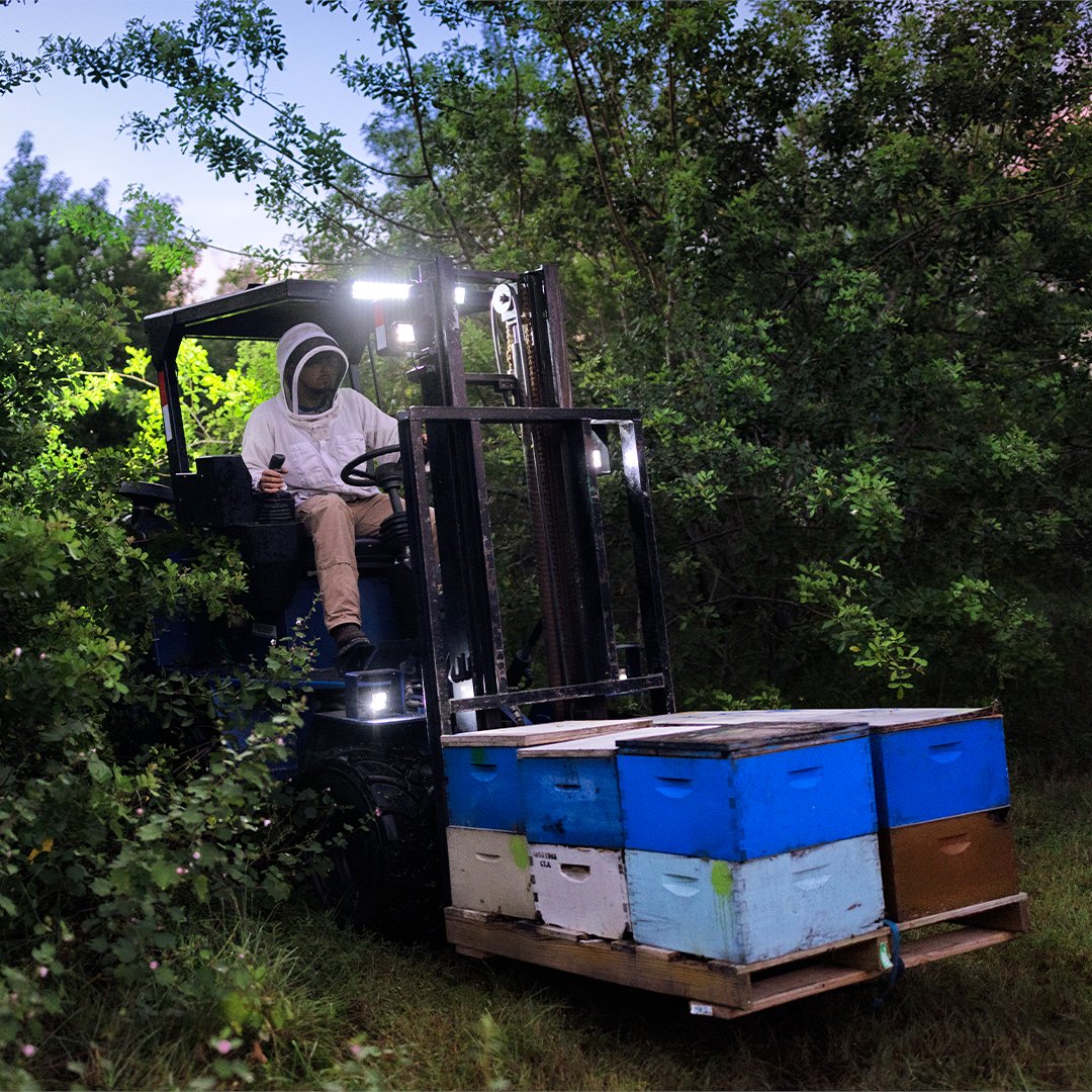 Local Hive™ Honey tweet media