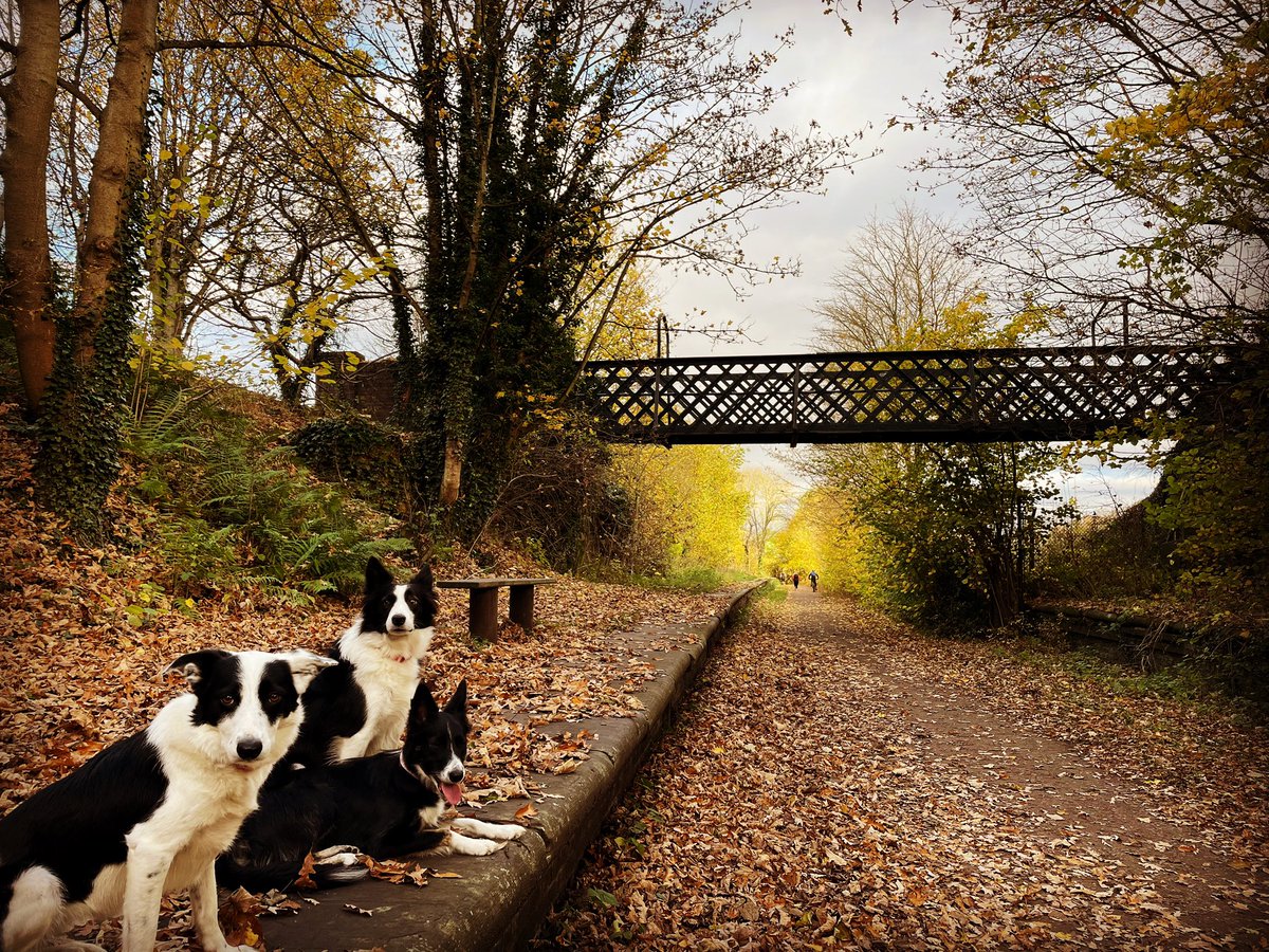 My sincere apologies once again for lack of posts recently. Sadly my father is terminally ill and my mum collapsed with a heart attack last week. Very difficult times here at B&amp;B HQ. But I sincerely hope you are all well and enjoying the festive season. Best wishes, Vicky.