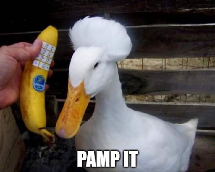 <a href="/Ola_Of_Ilorin/">Onchain.Introvert</a> Based $Ducker isn't abandoned, we just pamp it quack by quack.