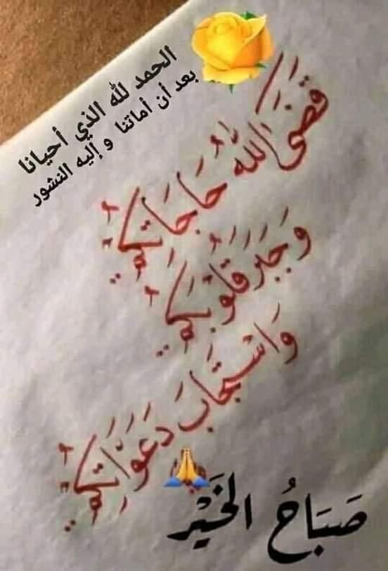 emir_okab's tweet photo. https://t.co/2tuC4Pz1kP
