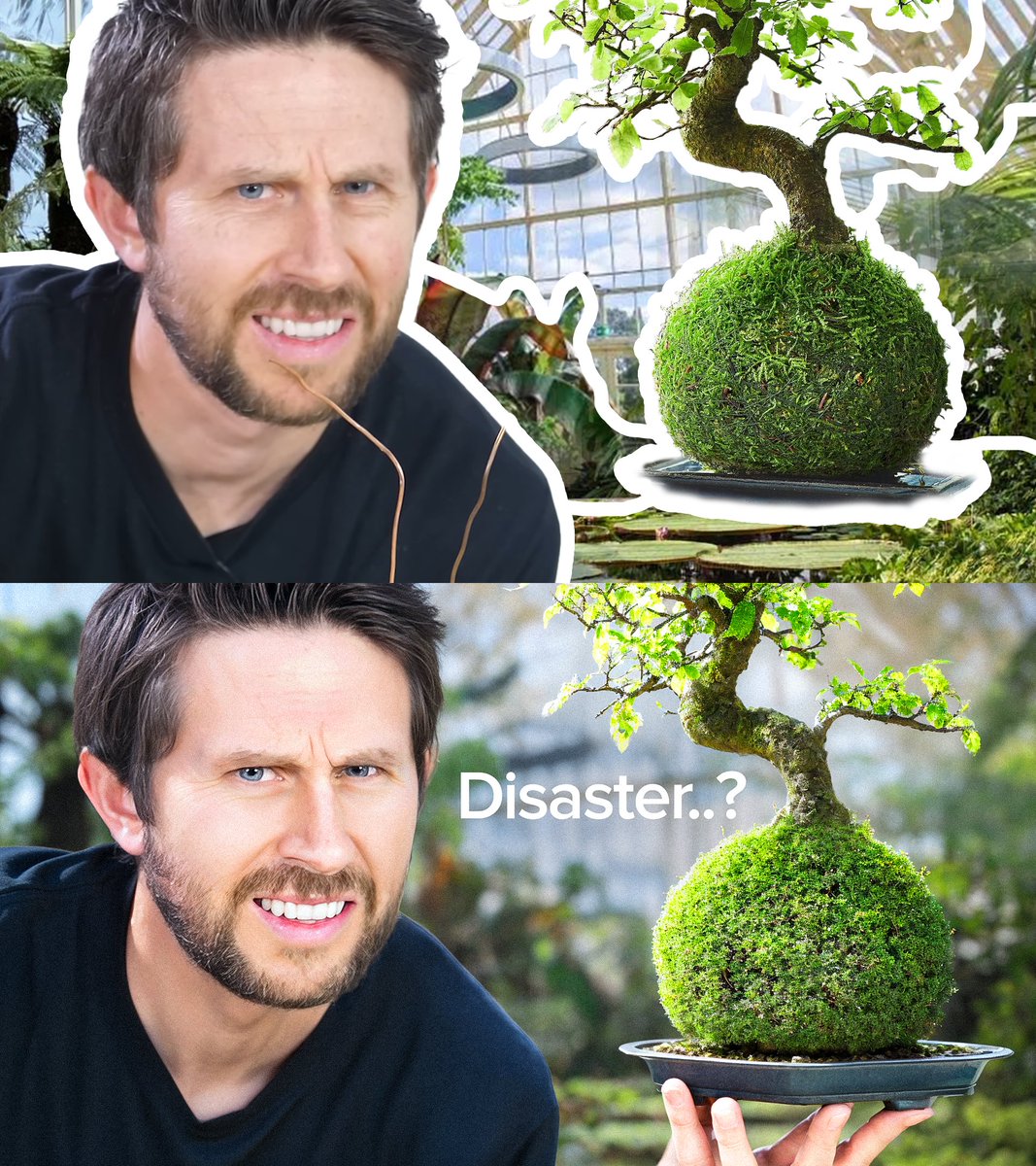 Title: I spent 4 years making this Bonsai tree at home 🌴

Before/After of the recent practice thumbnail, what do you guys think?