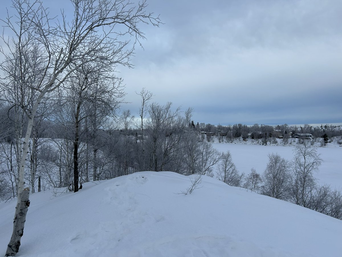 markmcdonald28's tweet photo. Phantom Lake Trail,
Boxing Day 2024,
(minus five Celsius!) https://t.co/SxV4j6WyOY