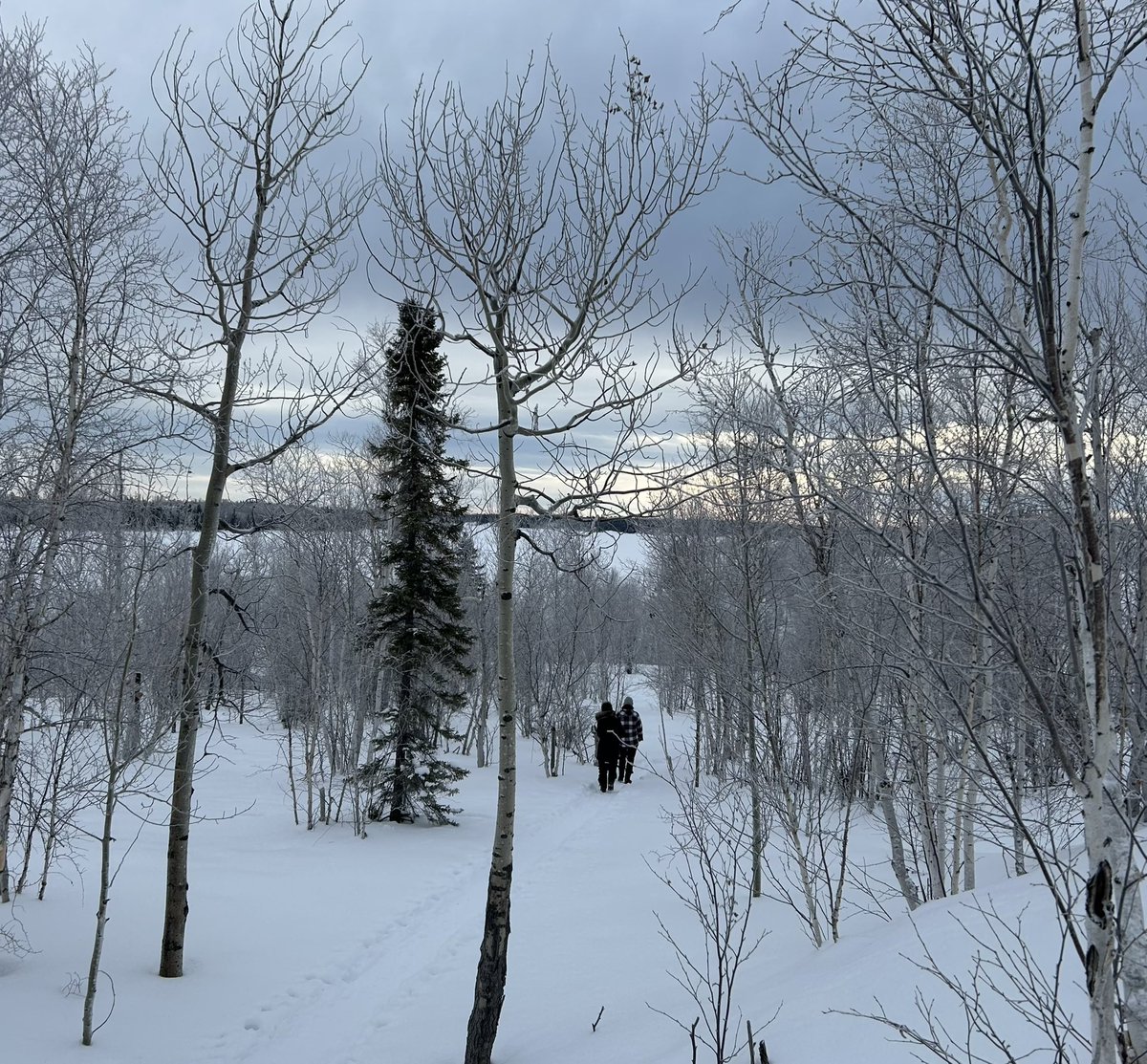 markmcdonald28's tweet photo. Phantom Lake Trail,
Boxing Day 2024,
(minus five Celsius!) https://t.co/SxV4j6WyOY