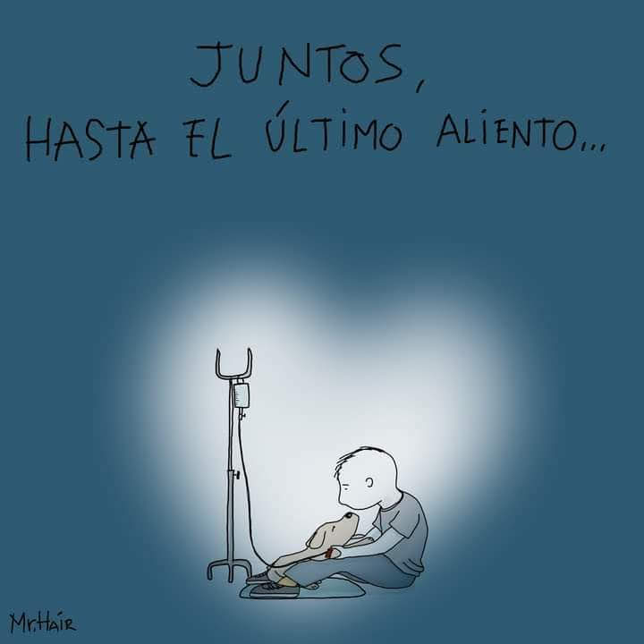 Alfredo Marquez T. tweet media