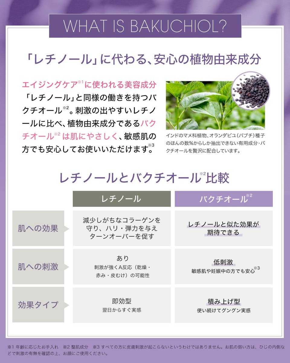 メゾンレクシア tweet media