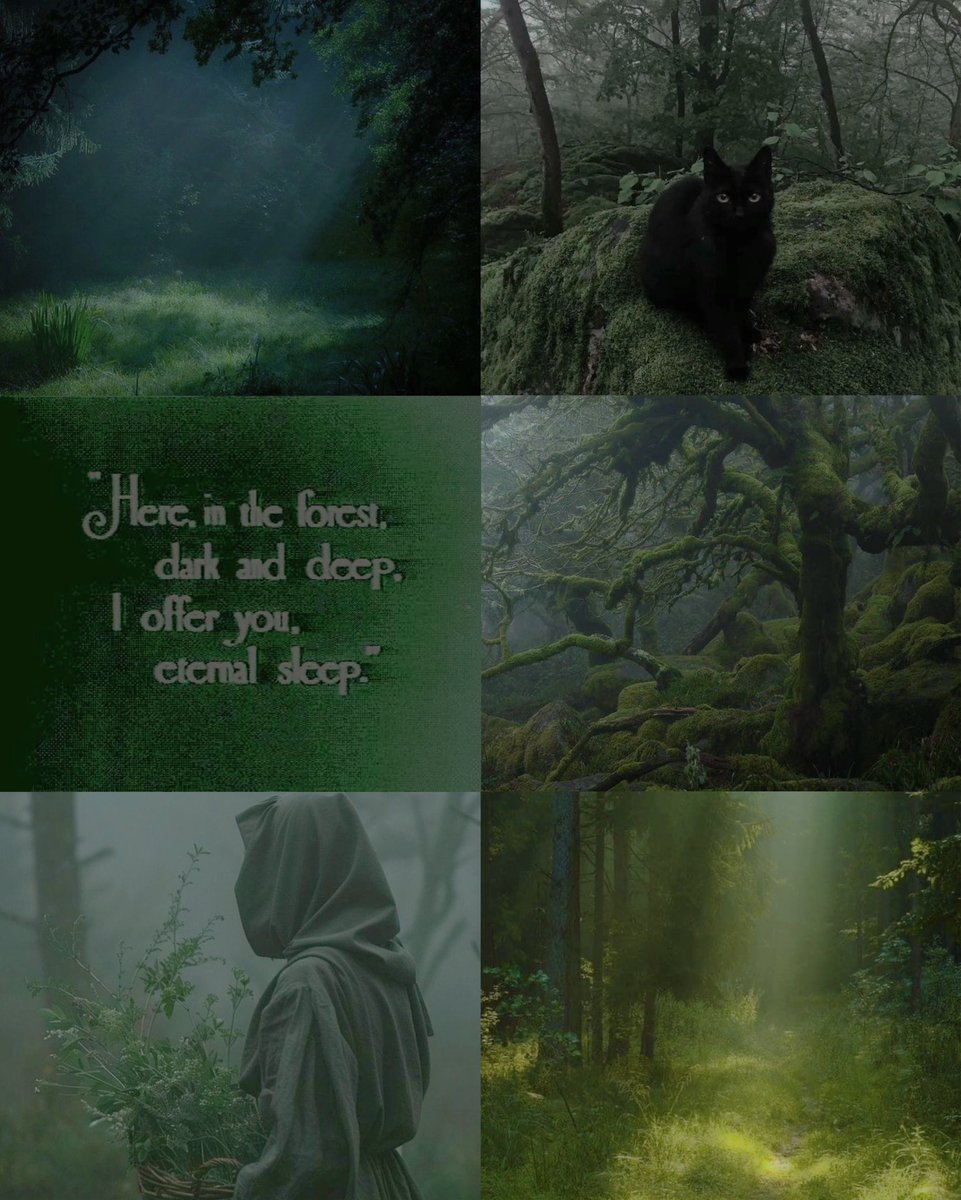 vidalsource's tweet image. ⋆˚࿔ growth and decay in constant flow