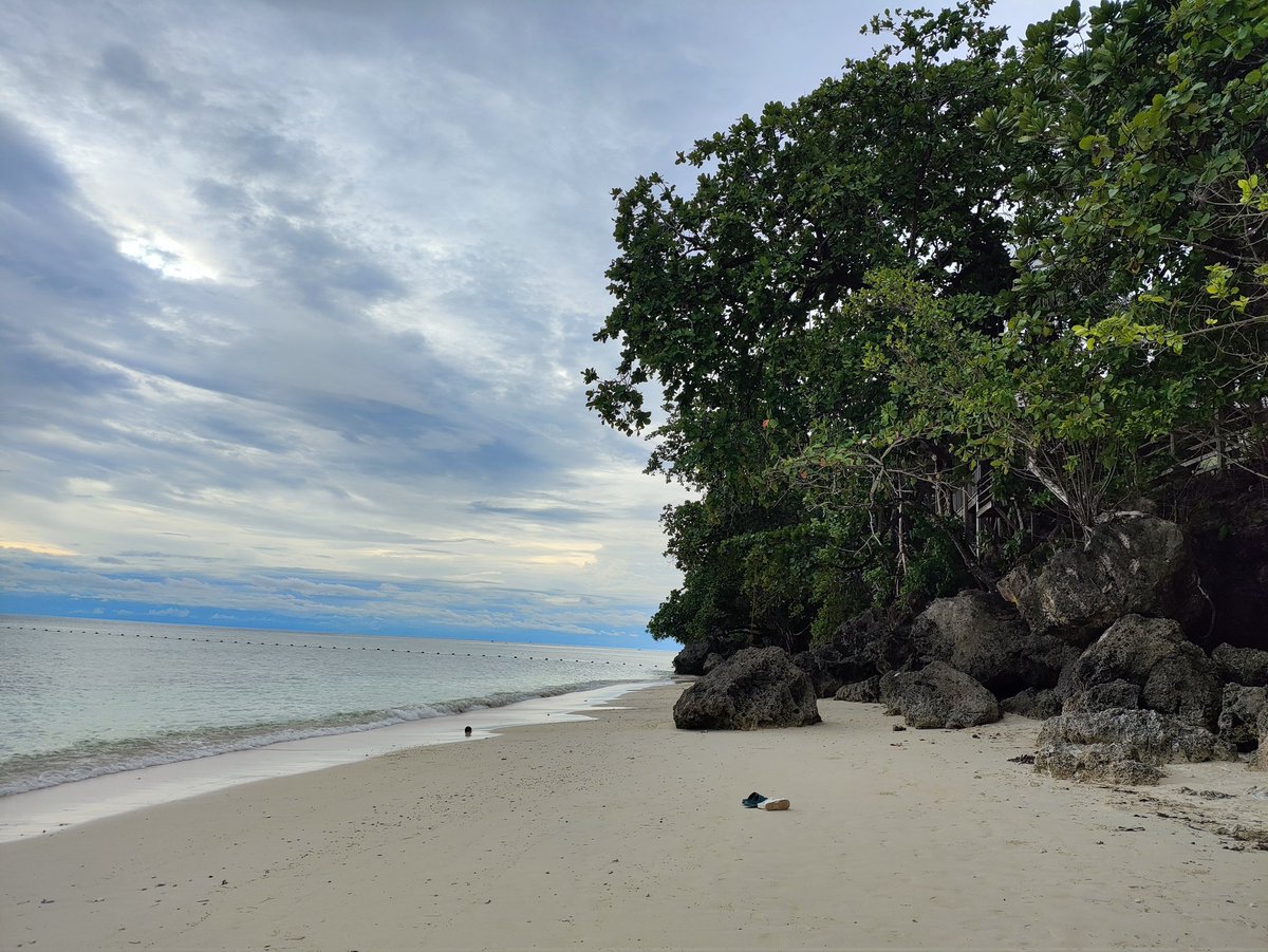 ashexiest's tweet image. ⛱️👙🐚