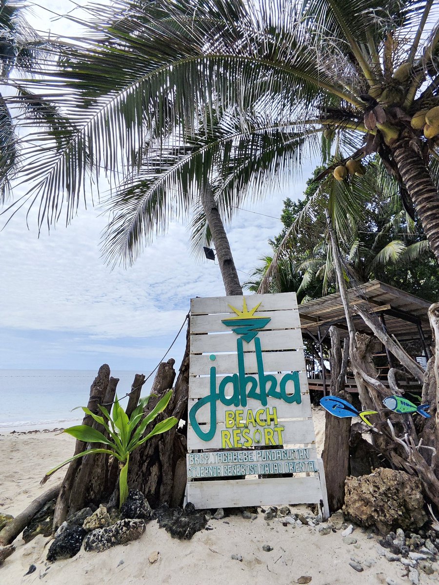 ashexiest's tweet image. ⛱️👙🐚