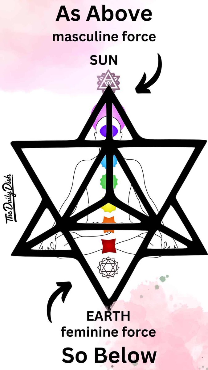 Alex ꩜ tweet media