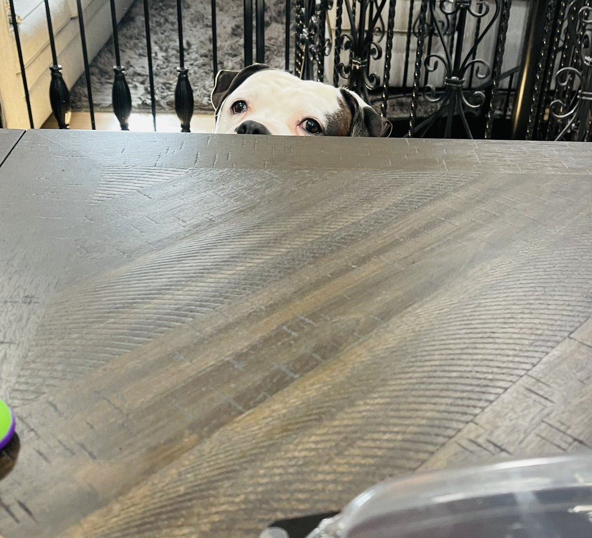 When you feel like you're always being watched 😂🤣😂