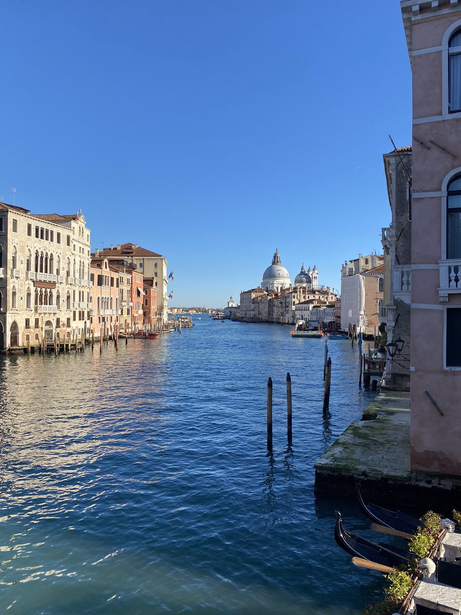 Giancarlo Bernini tweet media