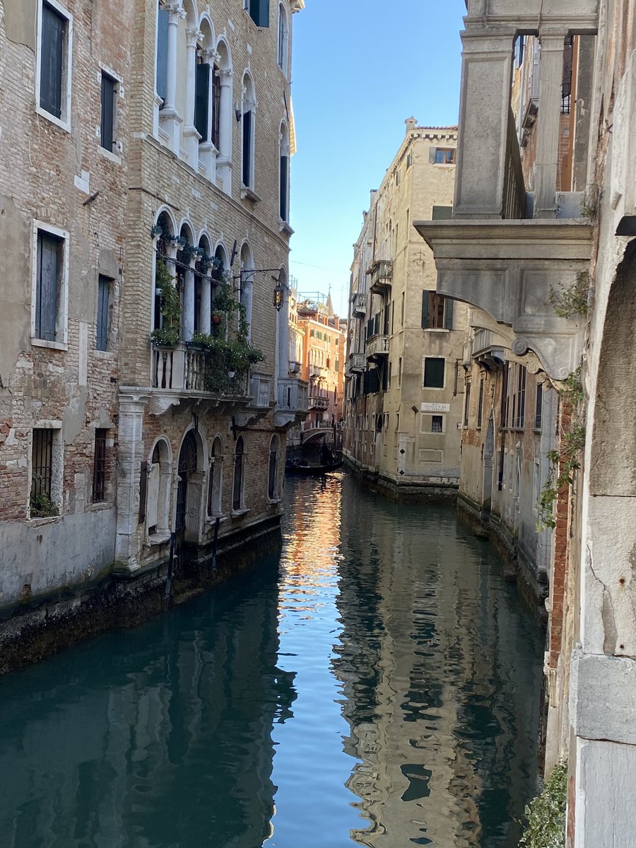 Giancarlo Bernini tweet media