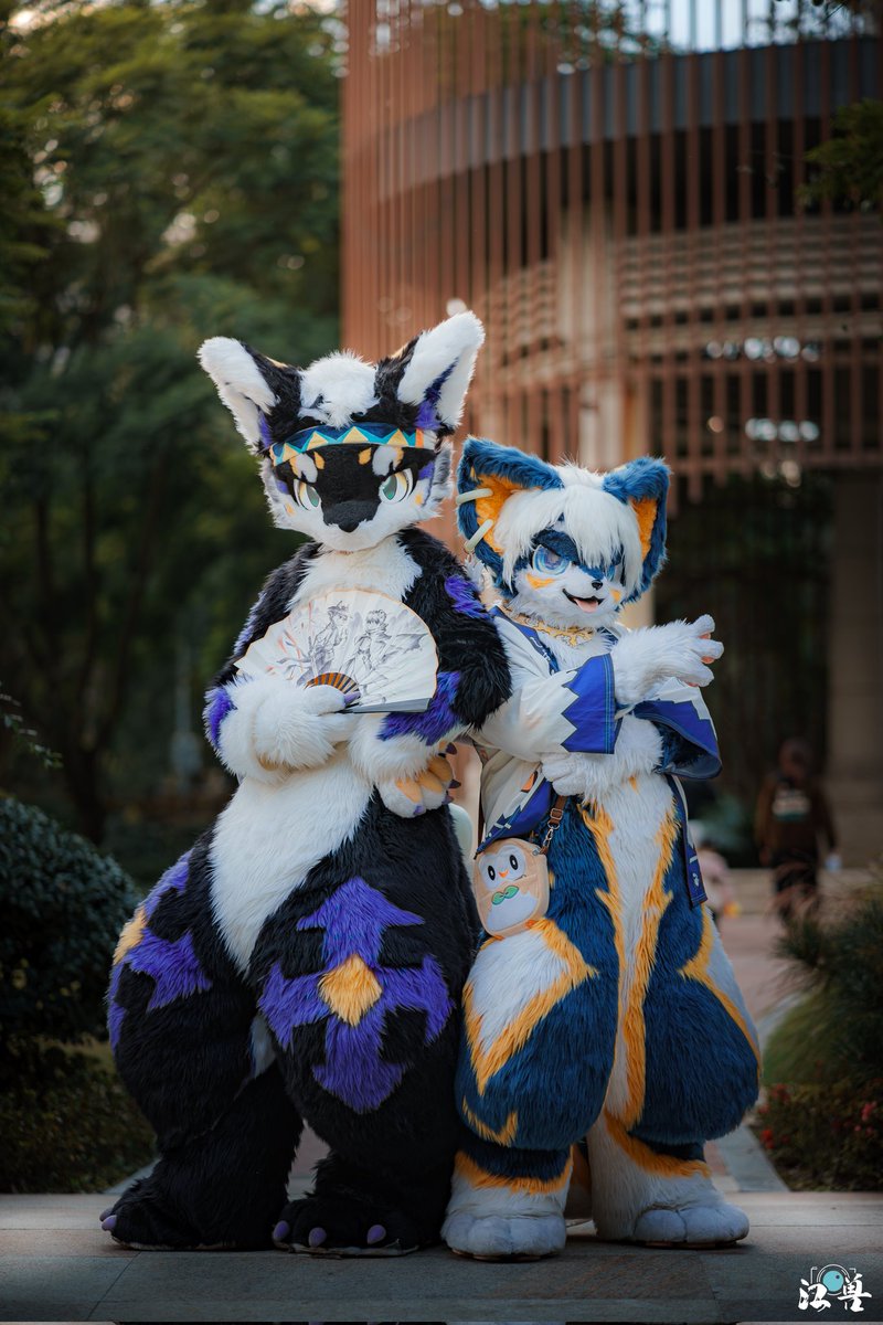 Morning is a good time to exercise, don't you think?Ye (夜)
←🐾:夜（Ye）
📷:<a href="/JadedSavior/">江兽</a> 
#FursuitFriday #furry #Moky
