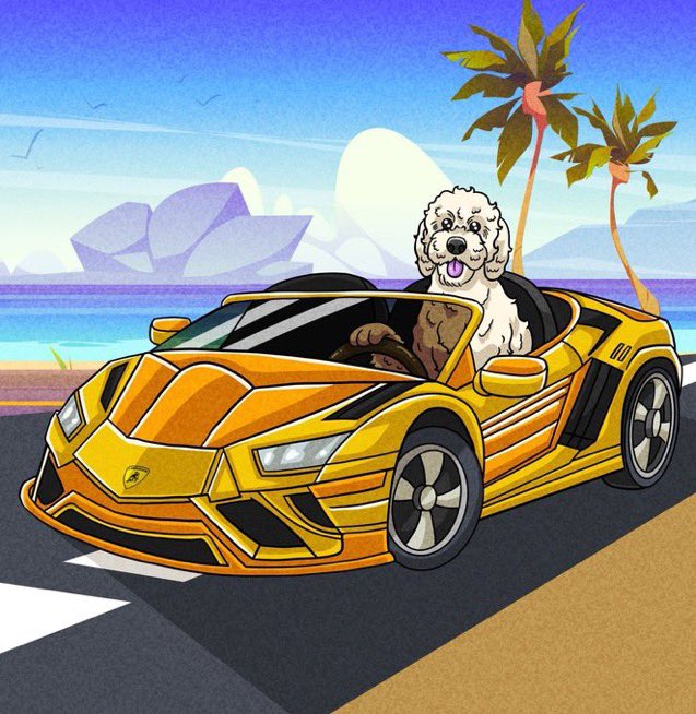 LilyOnSol tweet media