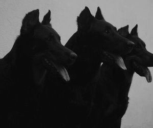 Khthonios_Hades's tweet image. ⠀ ⠀⠀ ⠀⠀ ⠀
⠀         ᅠꪉ 𝐆𝐎𝐃 𝐎𝐅 𝐔𝐍𝐃𝐄𝐑𝐖𝐎𝐋𝐃 
ᅠ
ᅠᅠᅠᅠ❛ 𝐻𝑎𝑑𝑒𝑠 𝑤𝑎𝑠 𝑝𝑜𝑟𝑡𝑟𝑎𝑦𝑒𝑑 𝑎𝑠 𝑝𝑎𝑠𝑠𝑖𝑣𝑒
                       &amp;amp; 𝑛𝑒𝑣𝑒𝑟 𝑛𝑒𝑔𝑎𝑡𝑖𝑣𝑒𝑙𝑦
               𝐻𝑖𝑠 𝑟𝑜𝑙𝑒 𝑤𝑎𝑠 𝑚𝑎𝑖𝑛𝑡𝑎𝑖𝑛𝑖𝑛𝑔 𝐛𝐚𝐥𝐚𝐧𝐜𝐞 ❜